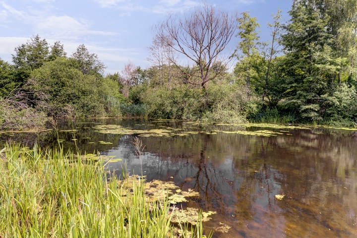 Foto 29 van Vlierhof 40