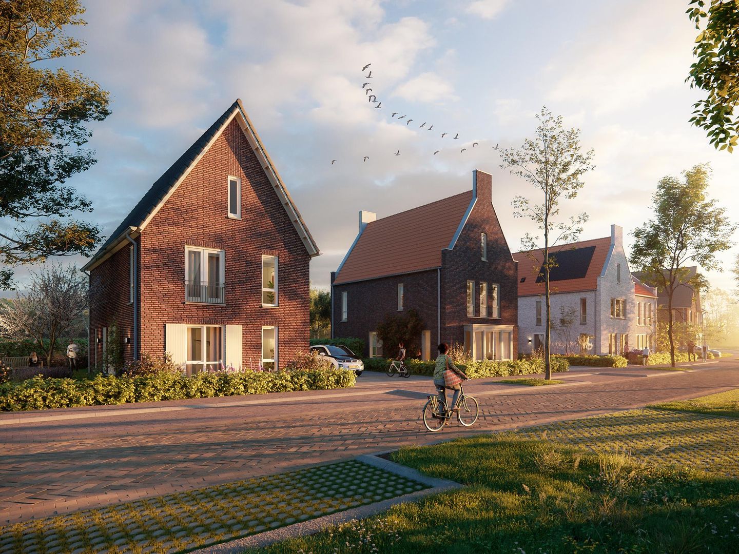 Foto 5 van De Weide Veluwe fase 5