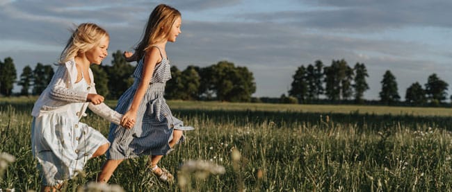 Foto 10 van De Weide Veluwe fase 5