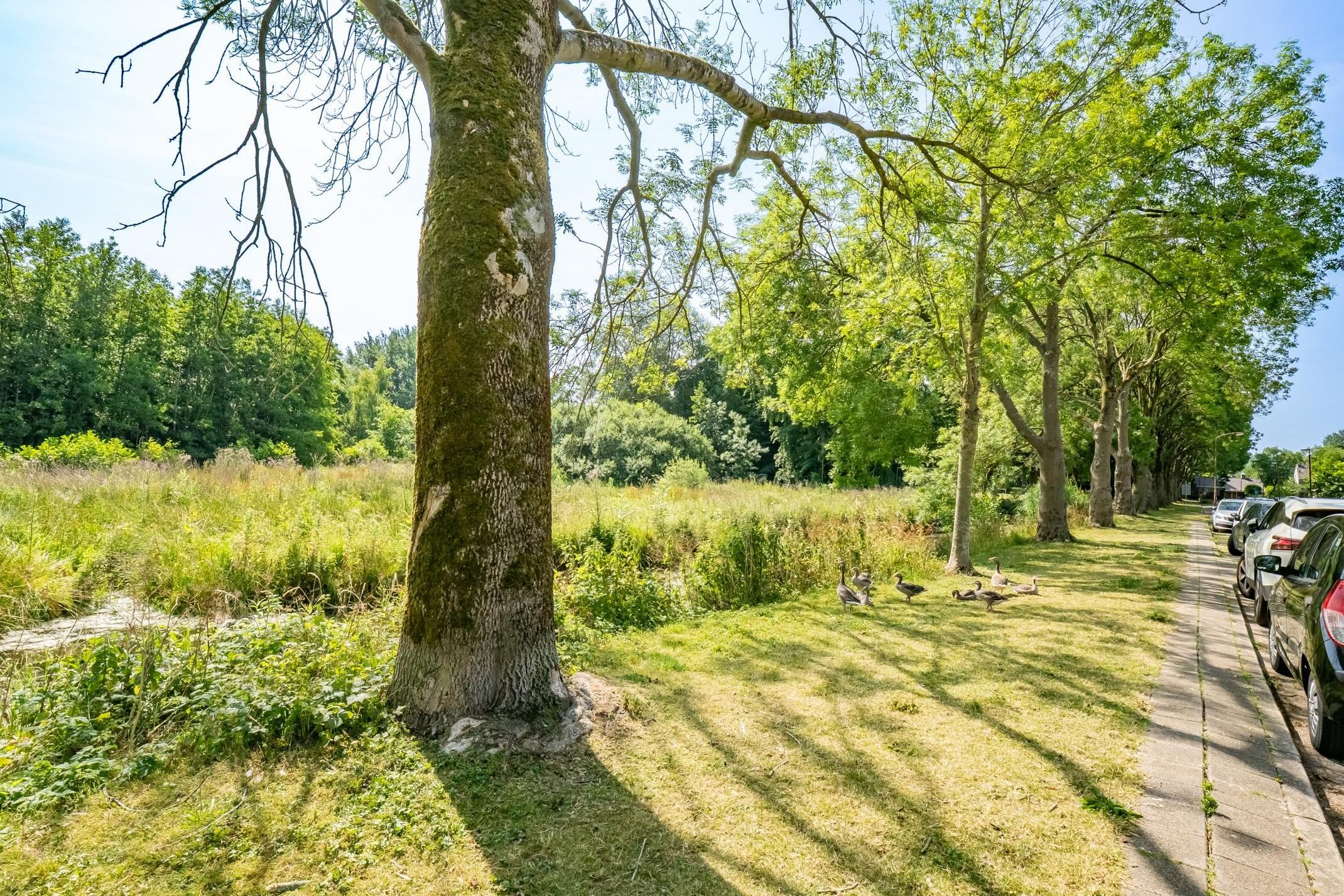 Foto 42 van Prinsessenweg 105