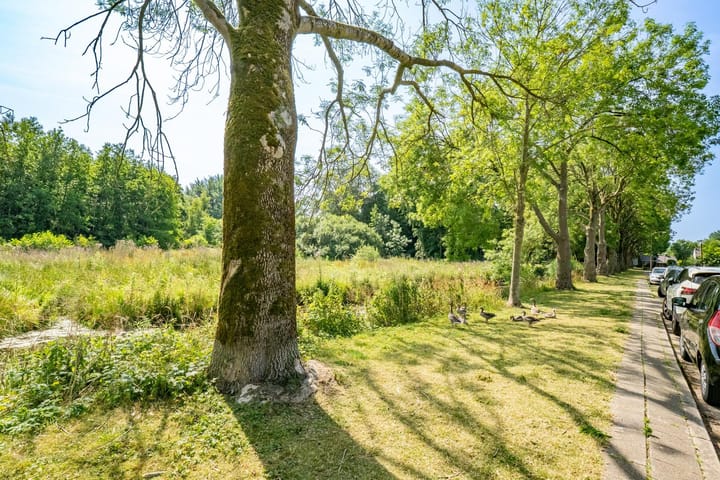 Foto 42 van Prinsessenweg 105