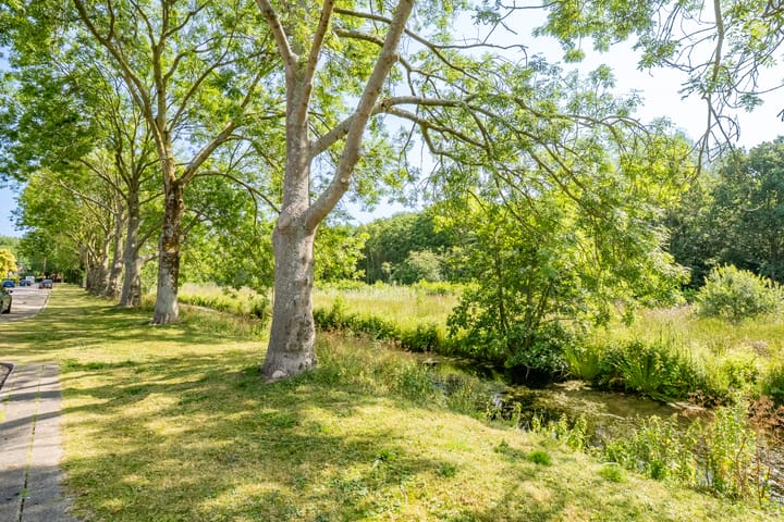 Foto 43 van Prinsessenweg 105