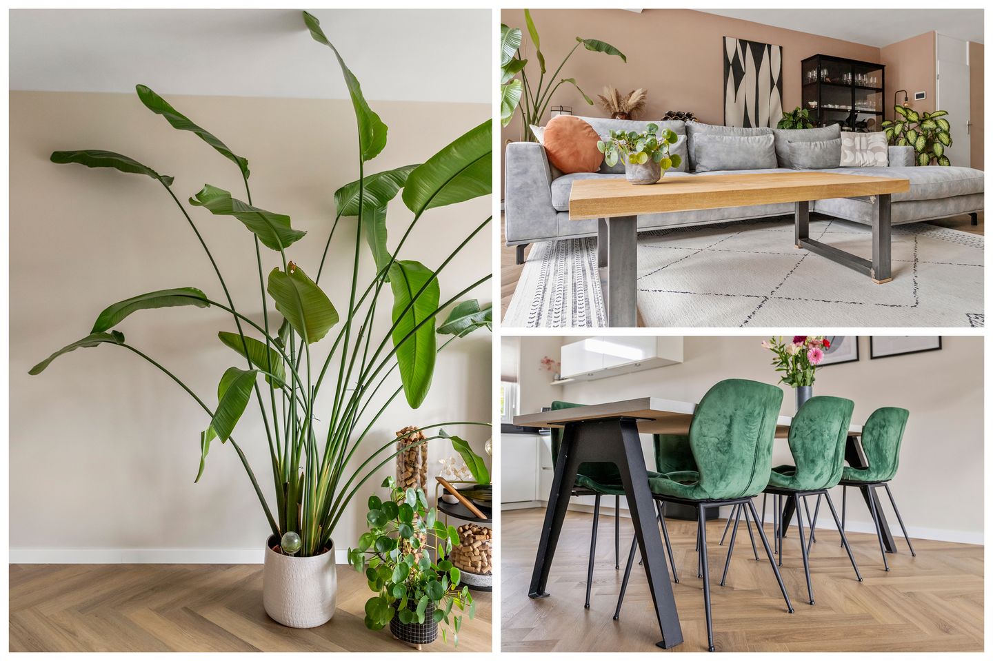 Foto 14 van Buitenweg 302