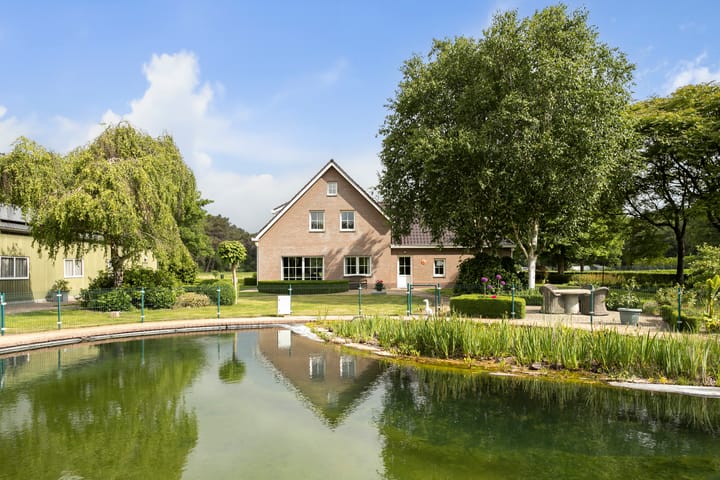 Foto 35 van Pierestraat 11