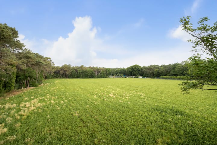 Foto 42 van Pierestraat 11