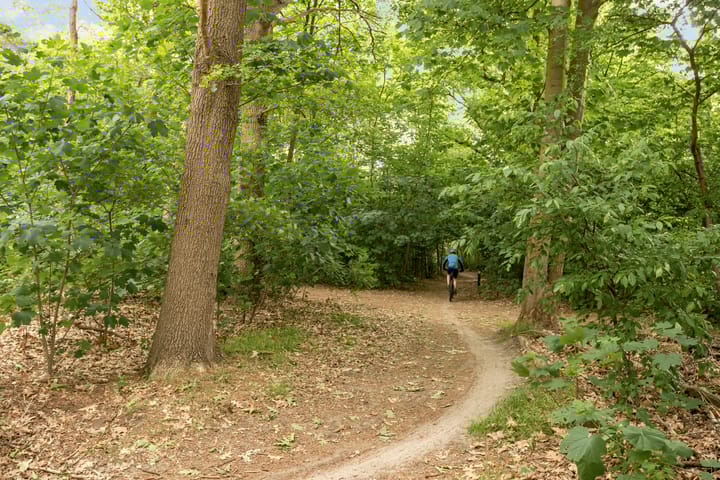 Foto 44 van Pierestraat 11