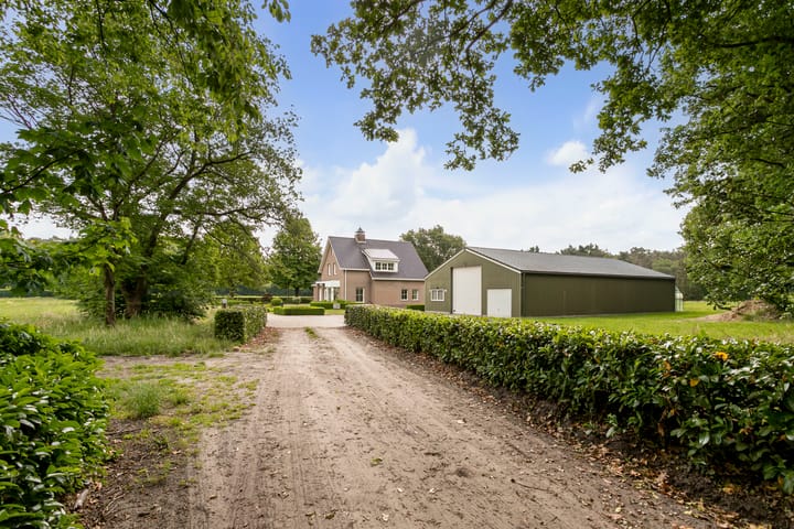 Foto 45 van Pierestraat 11