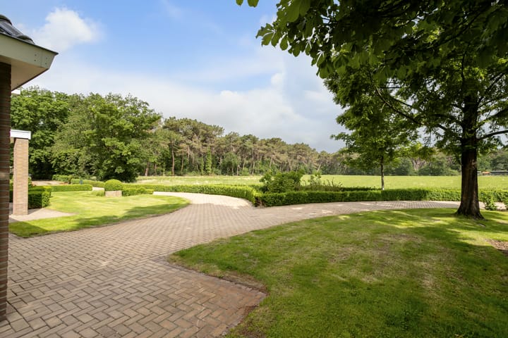 Foto 50 van Pierestraat 11