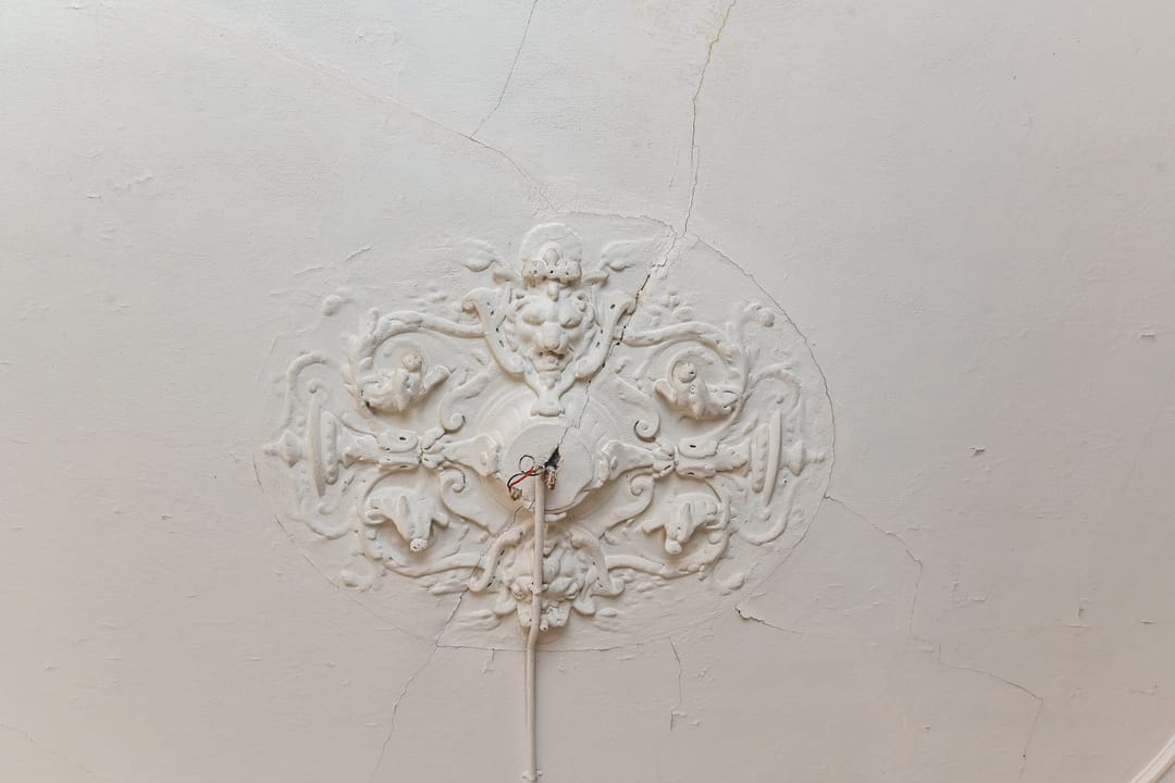 Foto 11 van Obrechtstraat 298