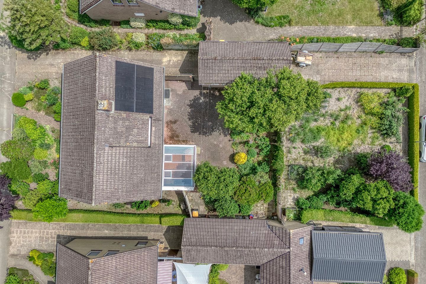 Foto 4 van Paardebloemstraat 3