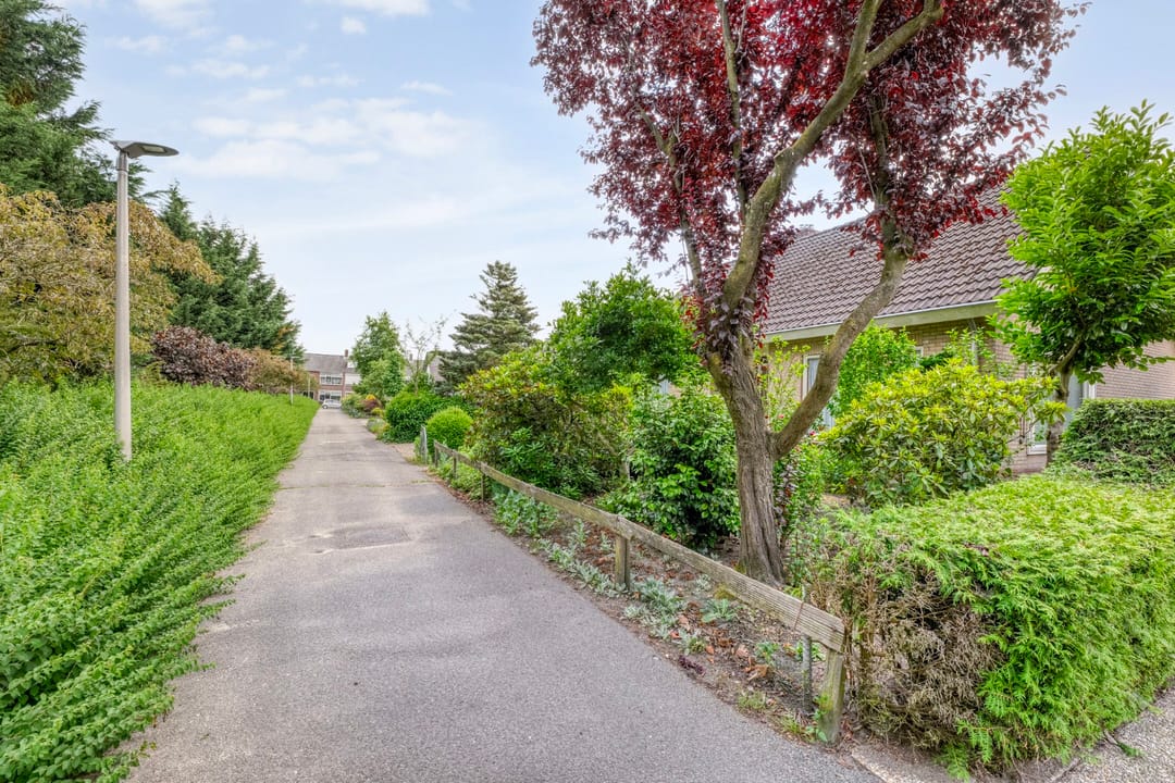 Foto 8 van Paardebloemstraat 3