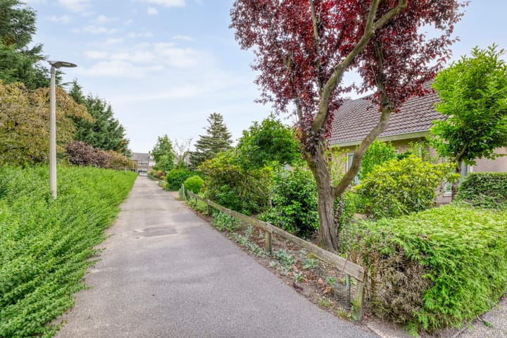 Foto 8 van Paardebloemstraat 3