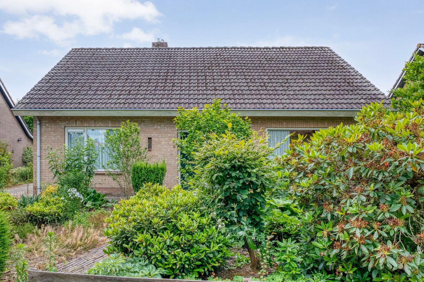 Foto 10 van Paardebloemstraat 3