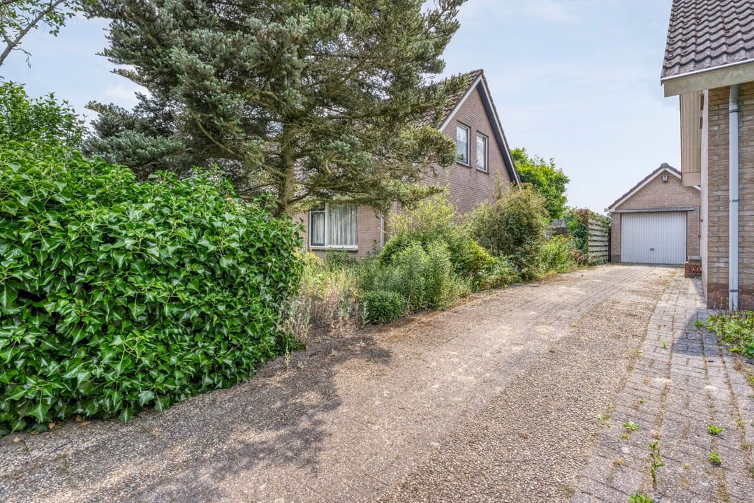 Foto 11 van Paardebloemstraat 3