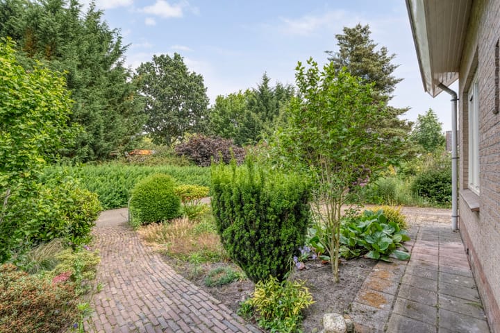 Foto 14 van Paardebloemstraat 3