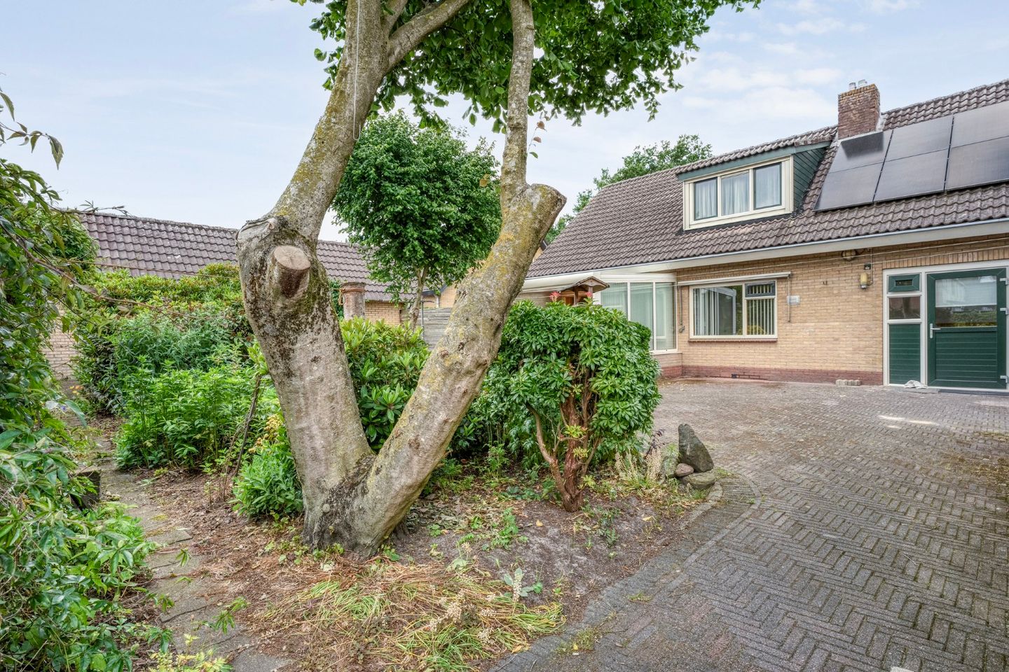 Foto 44 van Paardebloemstraat 3