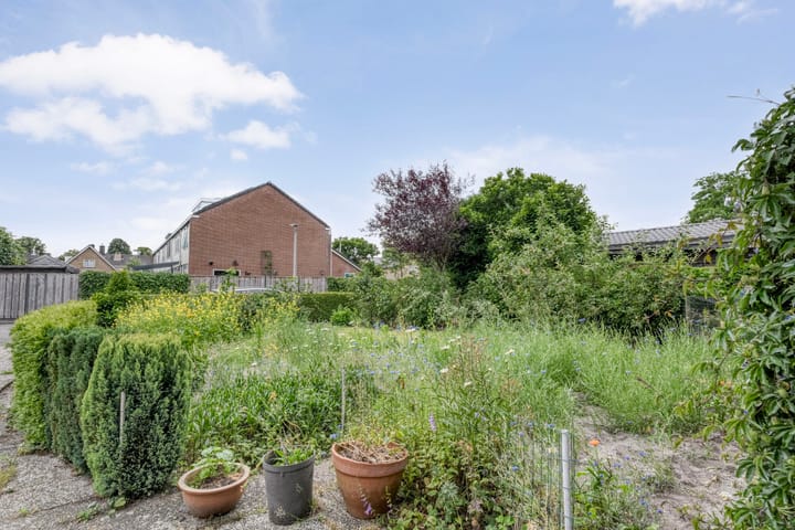 Foto 45 van Paardebloemstraat 3