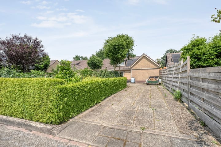 Foto 48 van Paardebloemstraat 3