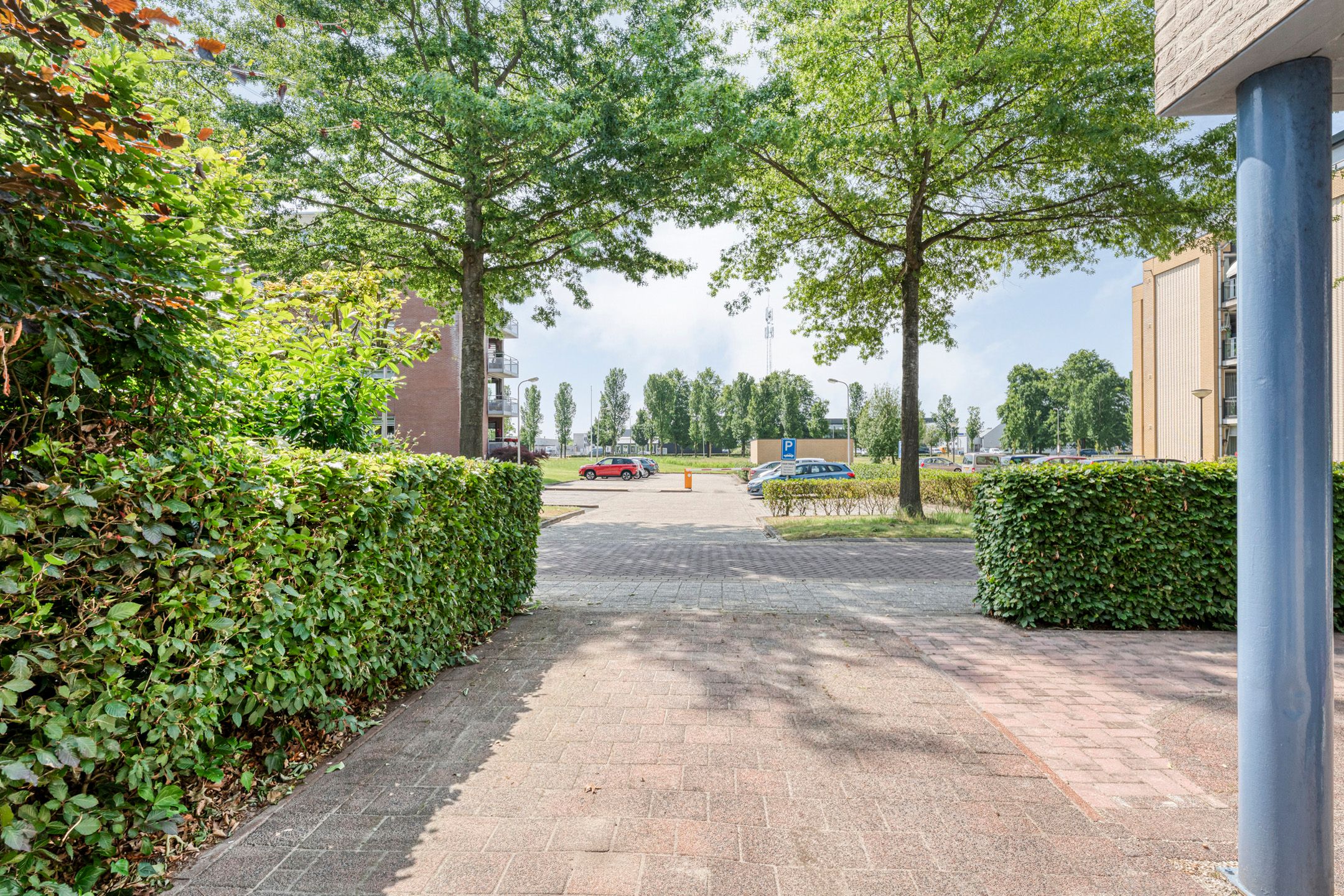 Foto 6 van Ferdinand Bolstraat 6