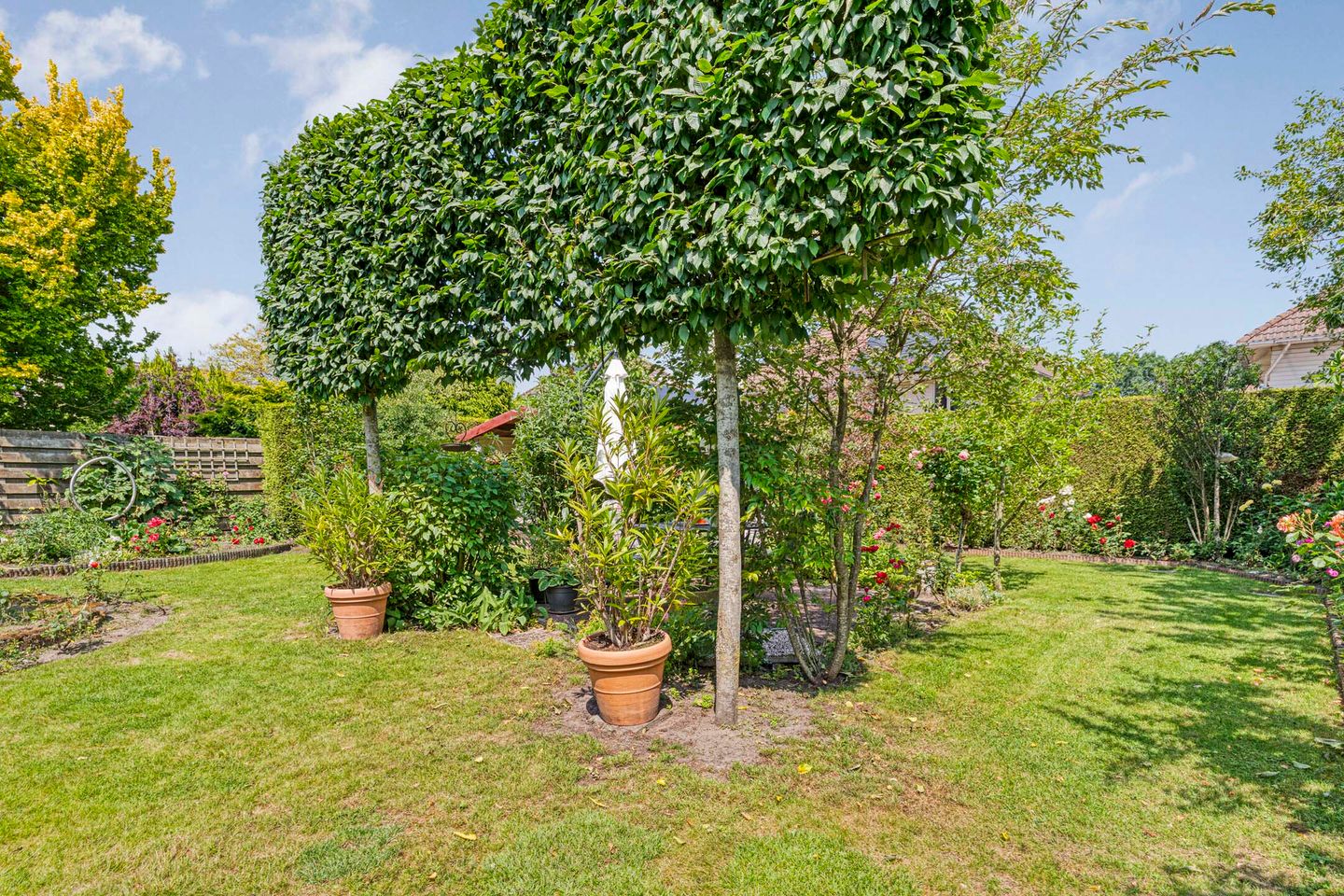 Foto 44 van Ferdinand Bolstraat 6