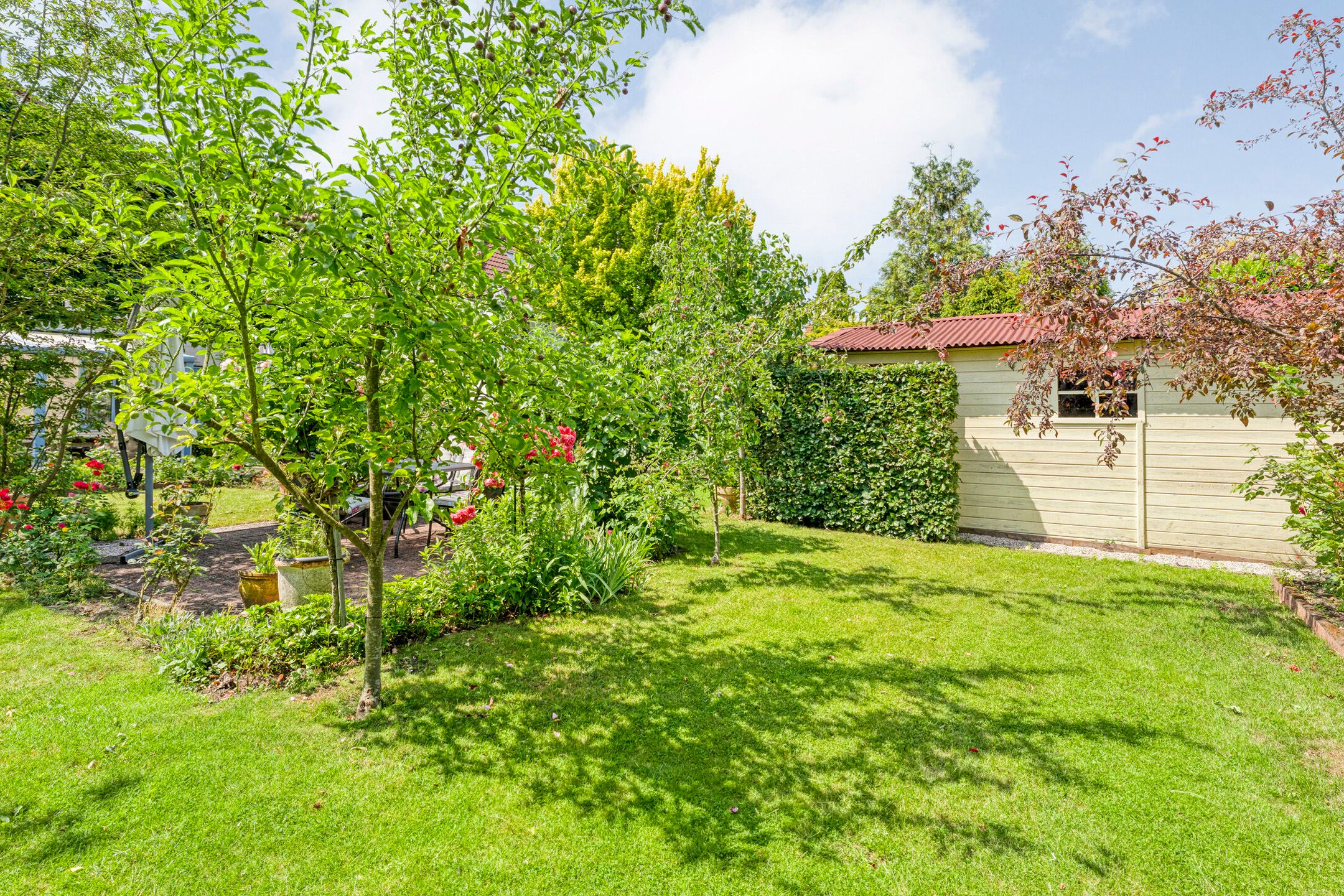 Foto 48 van Ferdinand Bolstraat 6