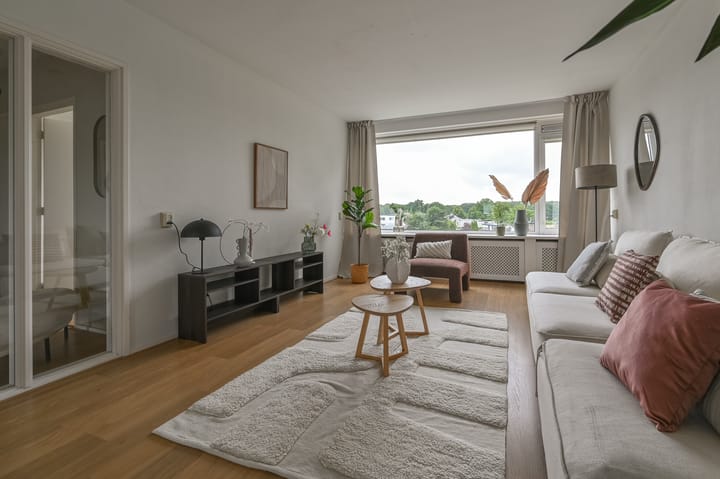 Foto 6 van Biallosterskilaan 21