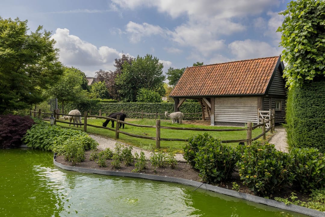 Foto 41 van Dorpsstraat 55