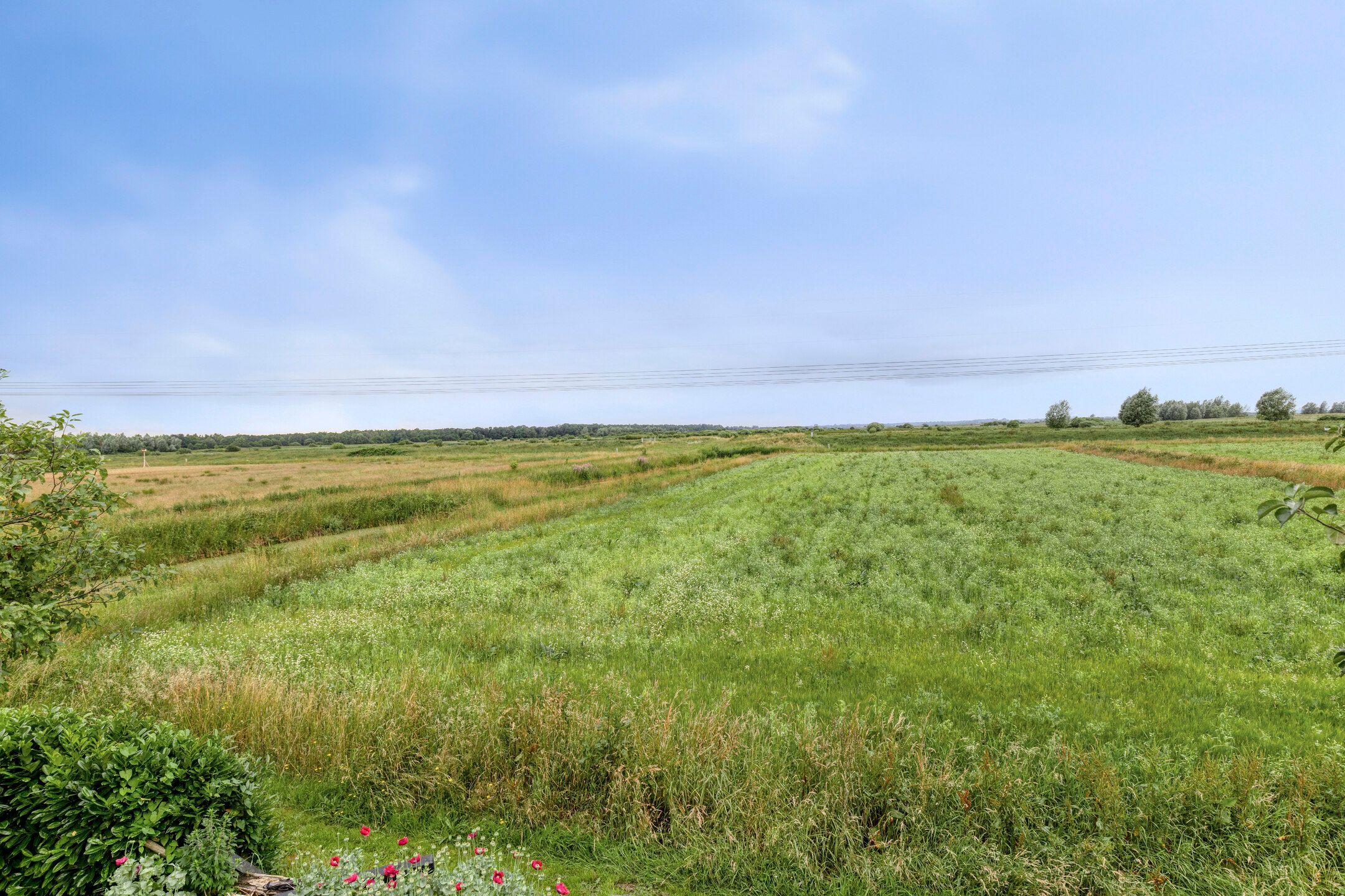 Foto 48 van Woldweg 72