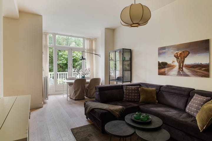 Foto 9 van Justus van Effenstraat 15-A