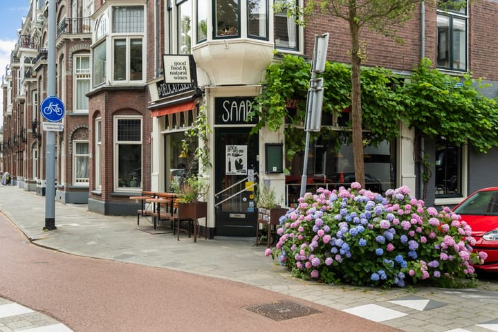 Foto 27 van Justus van Effenstraat 15-A