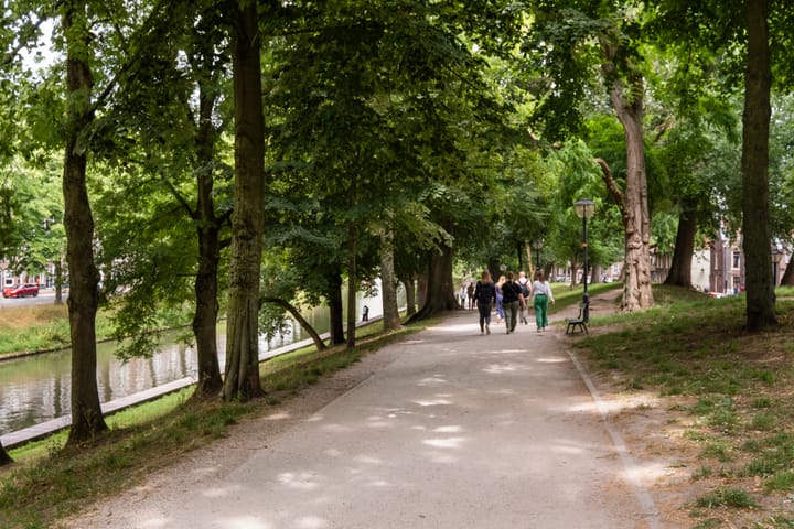 Foto 28 van Justus van Effenstraat 15-A