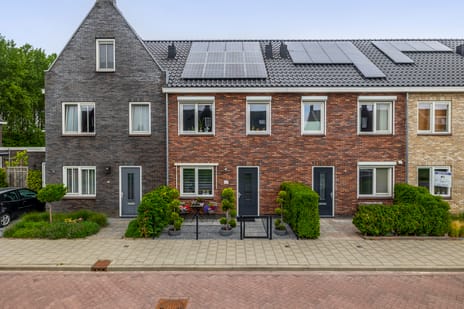 undefined main image