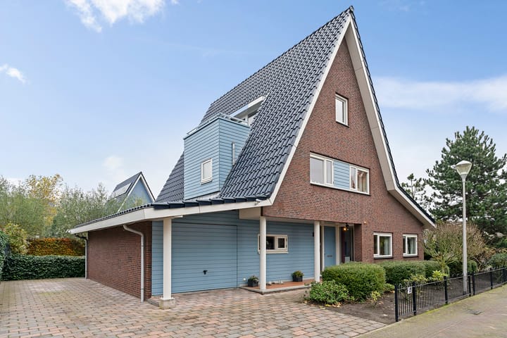 Stippelzegge 3