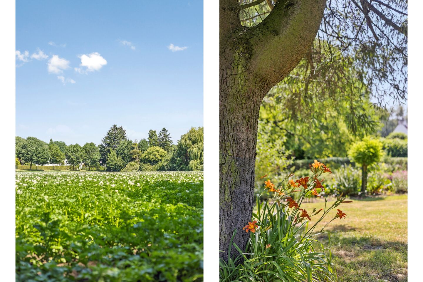 Foto 79 van Jekermolenweg 90