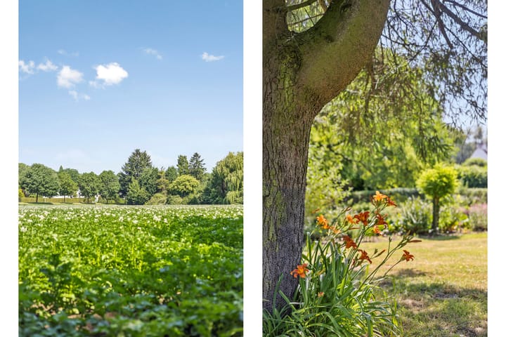 Foto 79 van Jekermolenweg 90