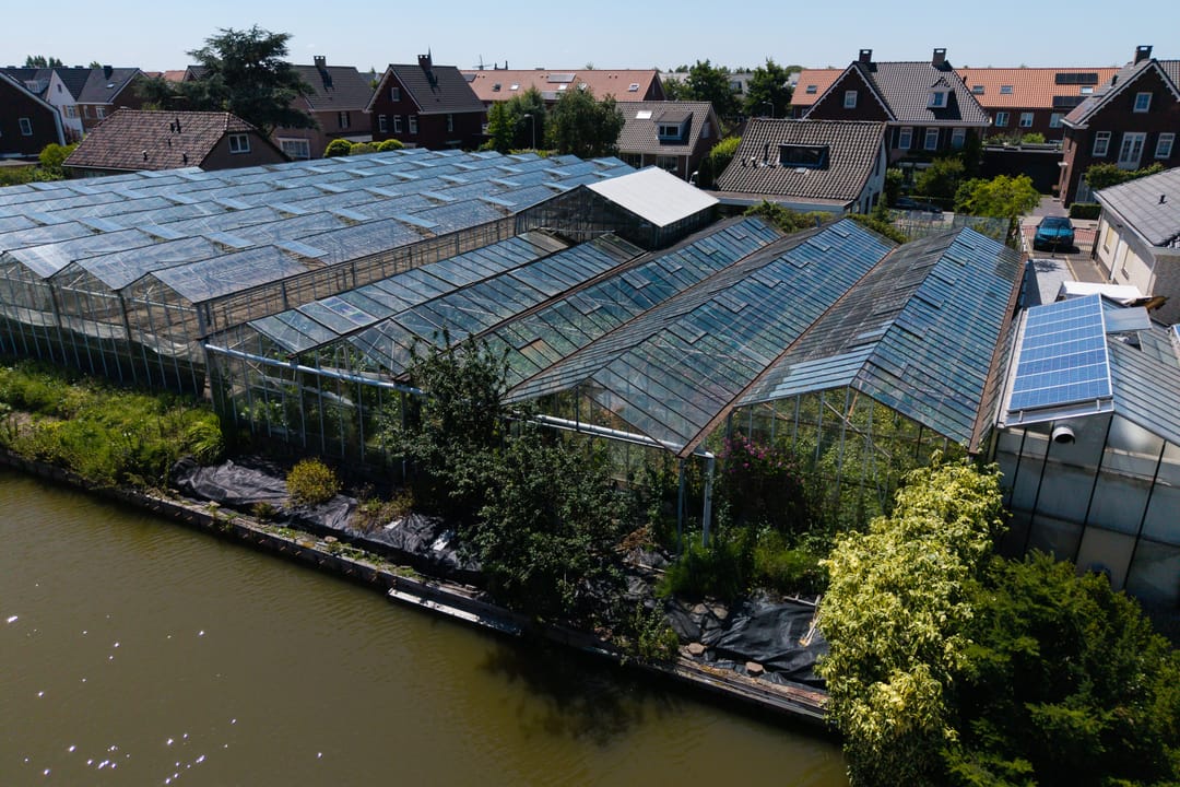 Photo 46 of Kwaklaan 44