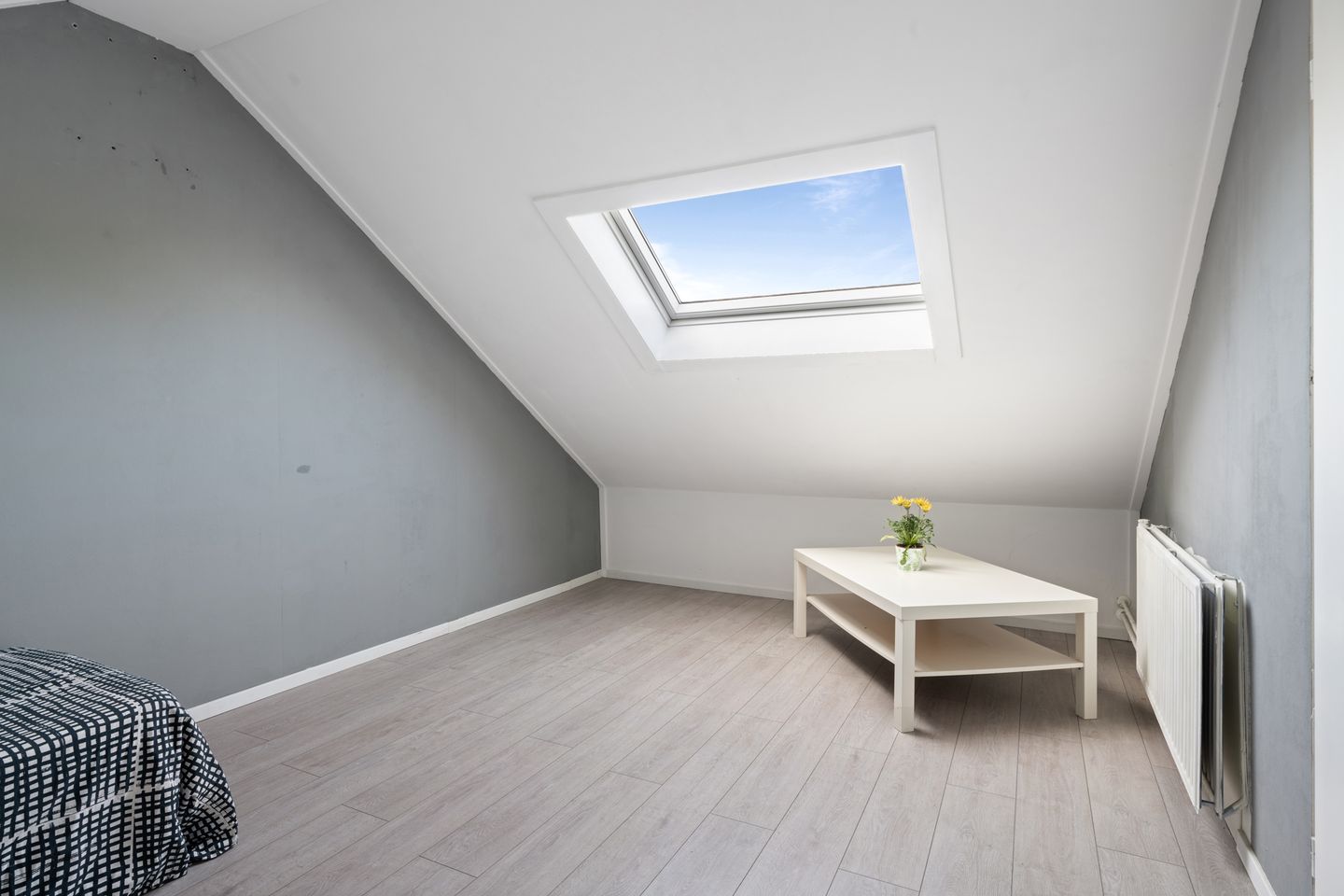 Foto 29 van Vedelring 93