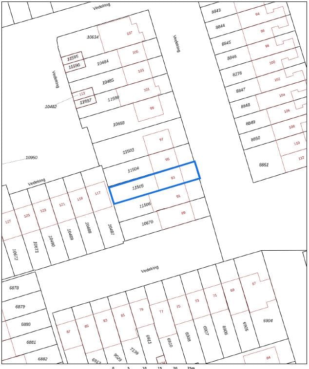 Foto 48 van Vedelring 93