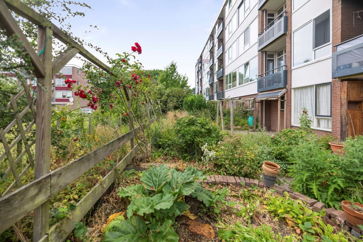 Foto 3 van Wielingenstraat 31