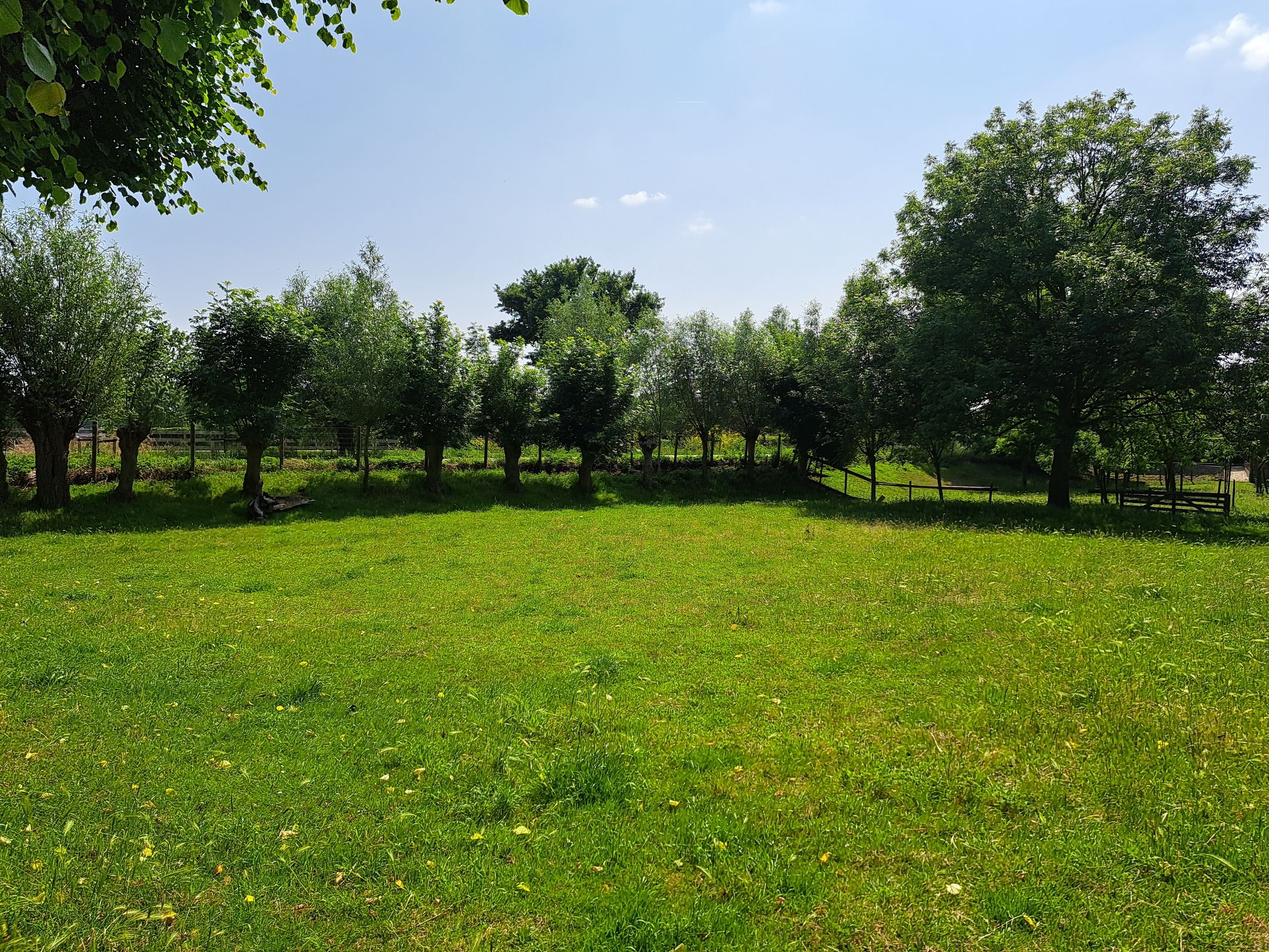 Foto 57 van Noord-Linschoterzandweg 57