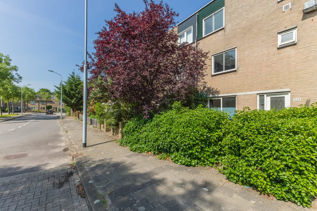 Foto 7 van Mastbos 228