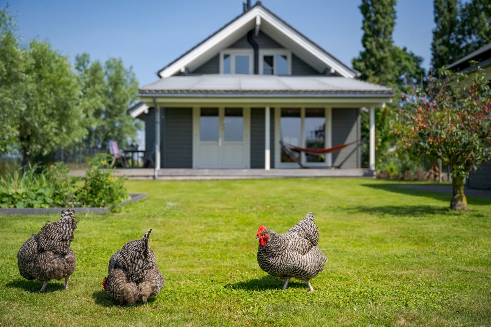 Foto 51 van Vierheemskinderenweg 16