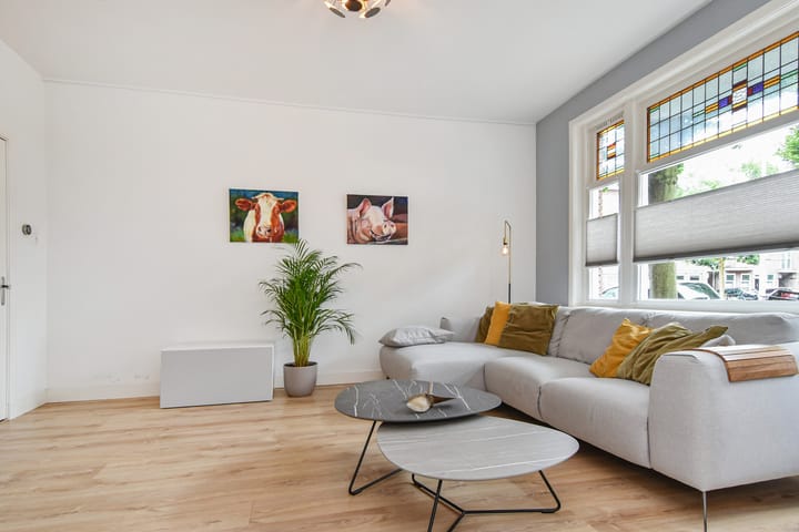 Foto 15 van Stuyvesantstraat 237