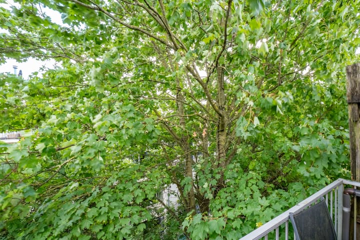 Foto 5 van Hartingstraat 22-BS