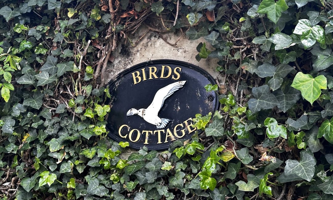 Foto 2 van Molenstraat 8