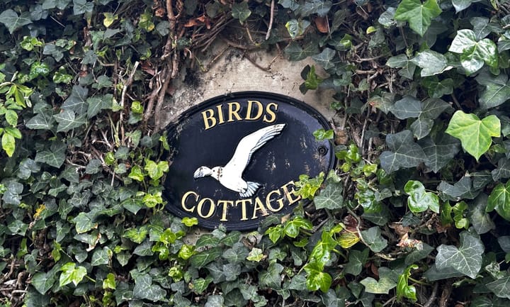 Foto 2 van Molenstraat 8