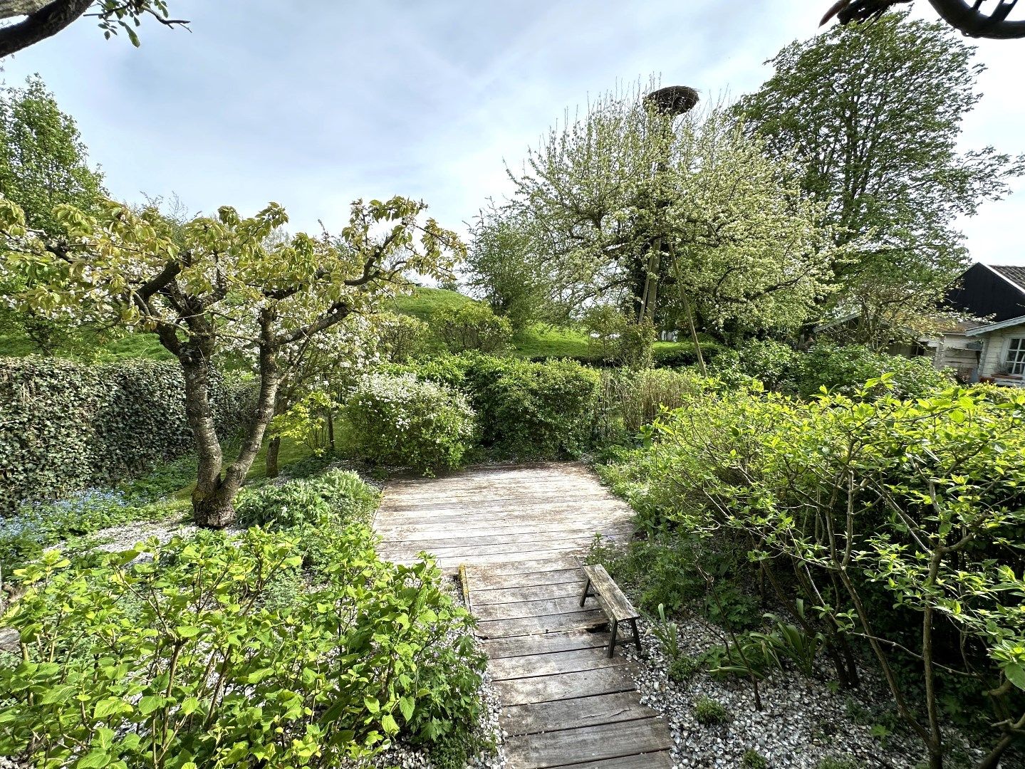 Foto 19 van Molenstraat 8