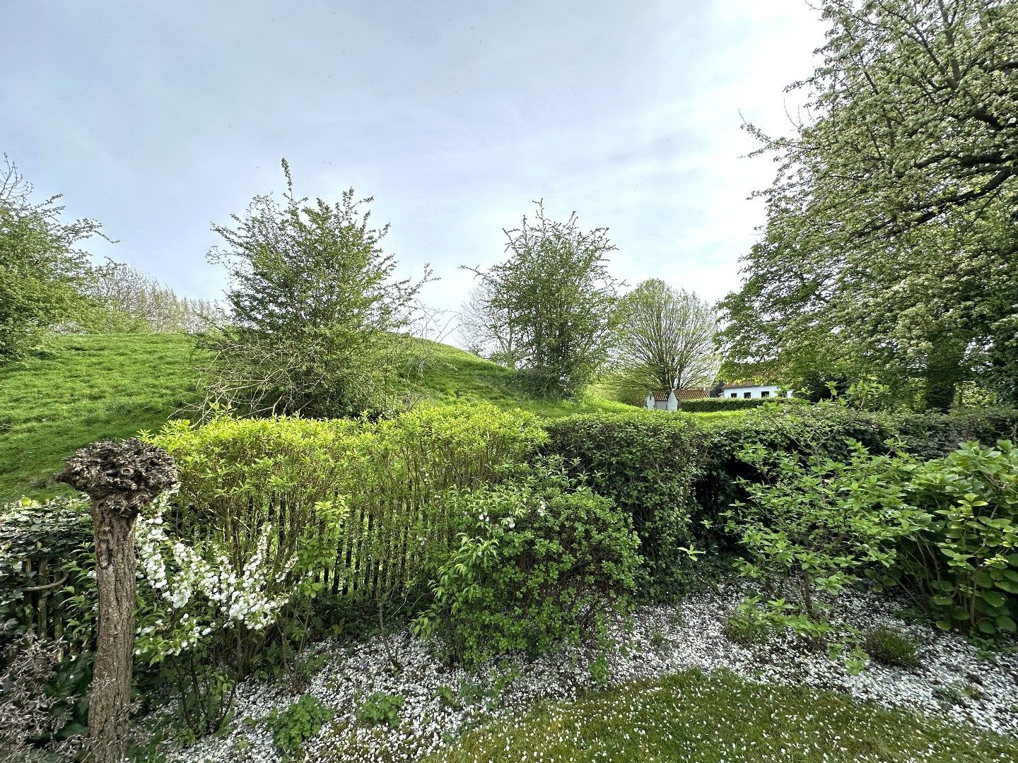 Foto 20 van Molenstraat 8