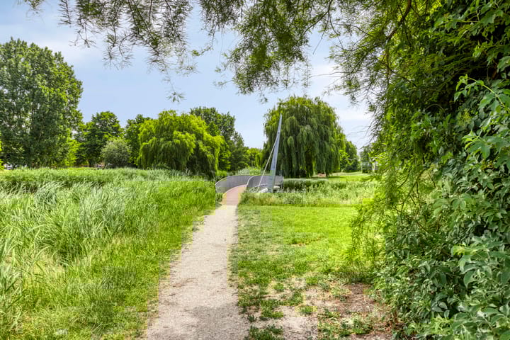 Foto 30 van P.C. Boutensstraat 13