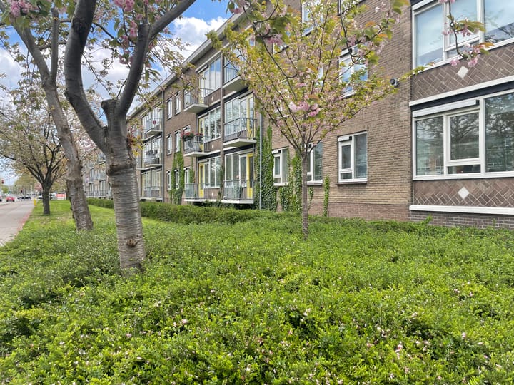 Foto 1 van Louise de Colignystraat 68